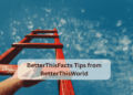 BetterThisFacts Tips from BetterThisWorld